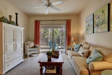 Panama City Beach apartment for rent - A living room with a couch, chair, and a table with a plant on it.