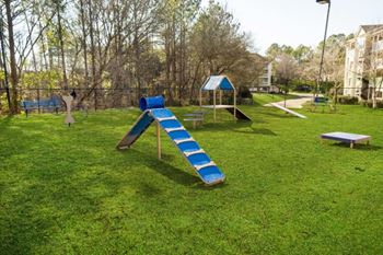 Leash-free pet park with agility equipment
