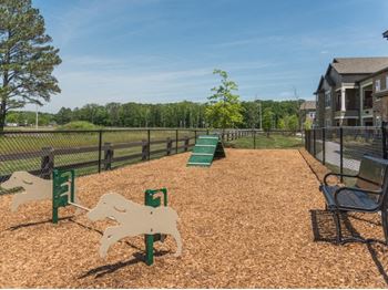 Pet park