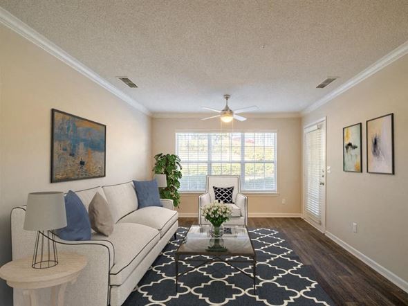 Hoover apartment for rent - a living room with couches and a large window