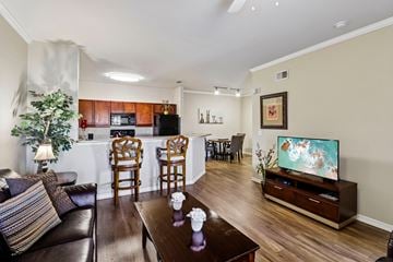 Ormond Beach apartment for rent - A living room with a brown leather couch, a wooden coffee table, and a television on a wooden stand.