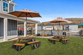 Huntsville apartment for rent - Two picnic tables are set up under umbrellas on a grassy area.