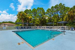 Pensacola apartment for rent - An outdoor swimming pool surrounded by trees and umbrellas at Crystal Lake in Pensacola, Florida.