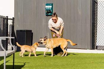 Gated pet park