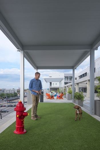 A man standing on a porch with a dog and a fire hydrant