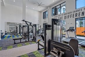Mcdonough apartment for rent - the gym with cardio equipment at Tapestry Overbrook in McDonough, Georgia