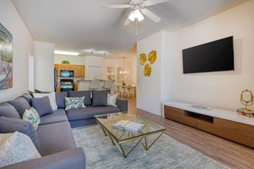 Port Orange apartment for rent - A living room with a grey couch and a black television.