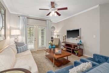 Dothan apartment for rent - A living room with a white couch and a blue couch.