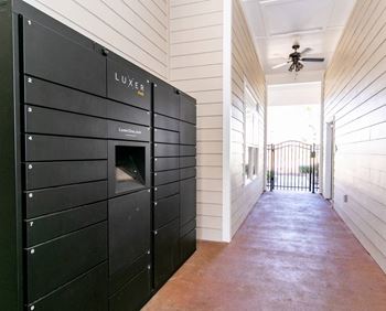 Electronic package locker