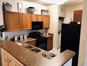 Mt. Dora apartment for rent - a kitchen with black appliances and granite counter tops