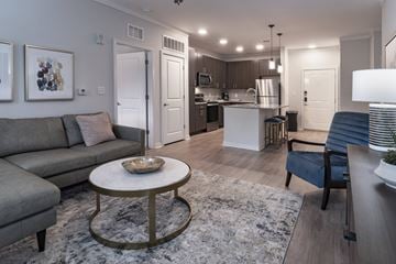 Santa Rosa apartment for rent - A modern living room with a grey sofa and a coffee table.