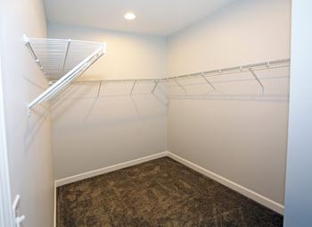 Walk-in closet with shelving.