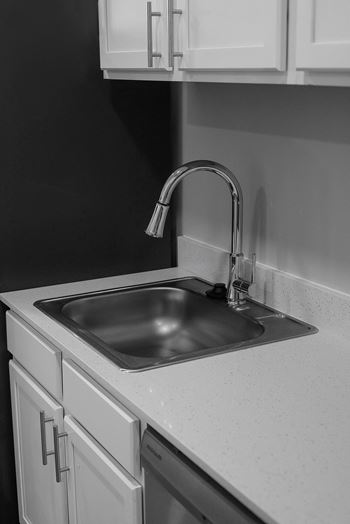 Goose neck faucet with pull down sprayer