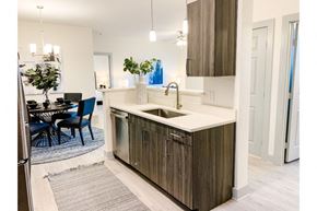 Burleson apartment for rent - a kitchen with a sink and a dishwasher