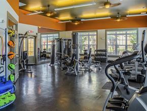 Daphne apartment for rent - a gym with cardio equipment and windows