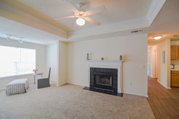 Cozy fireplace*