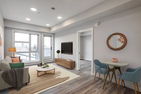 Edmonton apartment for rent - A living room with a grey couch, a wooden coffee table, a flat screen TV, and a round mirror on the wall.