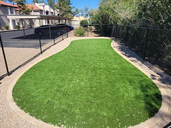 Bark park