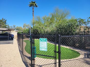 Bark park