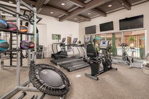 Mesa apartment for rent - A gym with treadmills, exercise bikes, and a rack of exercise balls.