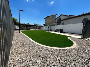 Lush green lawn area