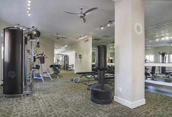 A gym with cardio equipment and weights on the floor