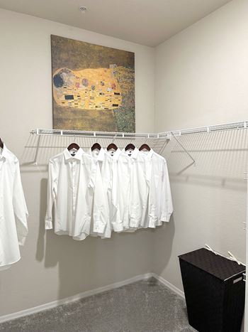 Closet view