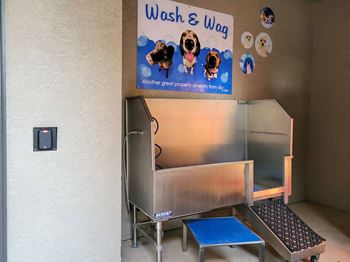 Stainless steel dog wash tub with ramp for dogs to walk into tub
