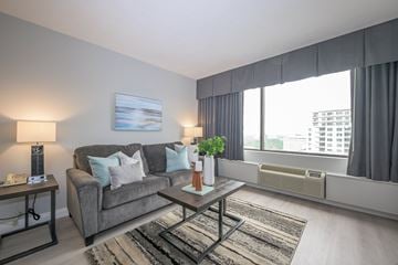 London apartment for rent - A living room with a grey couch, a coffee table, and a painting on the wall.