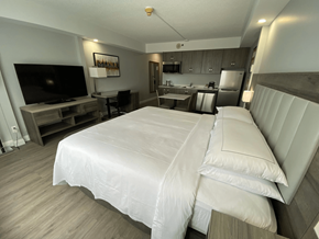 London apartment for rent - A bedroom with a large bed and a television.