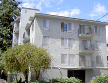 Oakland apartment for rent - a white apartment building with balconies and a tree in front