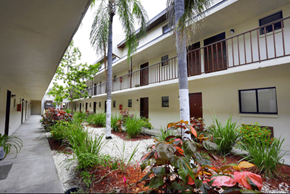 Tampa apartment for rent - Building Courtyard