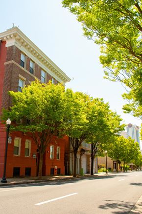 Atlantic City apartment for rent - a city street with a brick building and trees