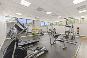 Tampa apartment for rent - A gym with a variety of equipment including treadmills, weights, and exercise machines.