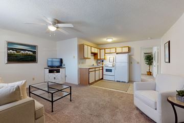 Greenville apartment for rent - a living room and kitchen with a couch and a table
