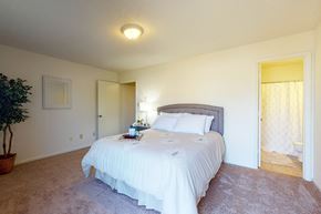 Greenville apartment for rent - Wesley South and Brookfield 1BR bedroom