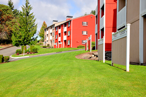 Tacoma apartment for rent - our apartments offer a spacious courtyard with green grass and trees