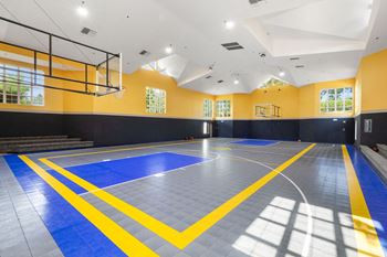 Basketball court