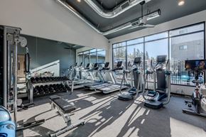 Maple Valley apartment for rent - a gym with cardio equipment and large windows