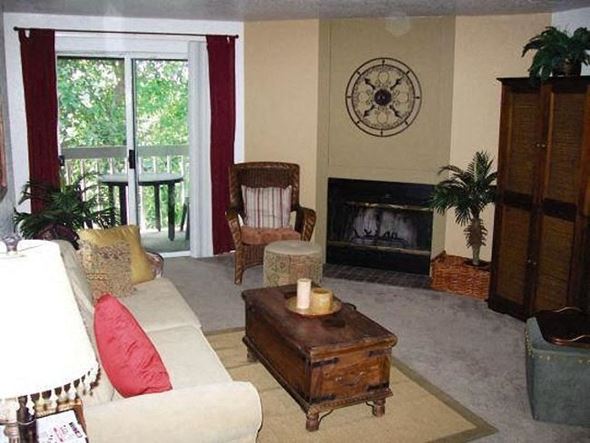 Tacoma apartment for rent - a living room with a couch and a fireplace