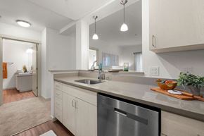 Tacoma apartment for rent - a kitchen with a stainless steel dishwasher and a sink