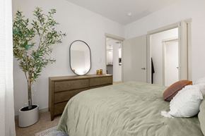 Tacoma apartment for rent - a bedroom with a bed and a potted plant