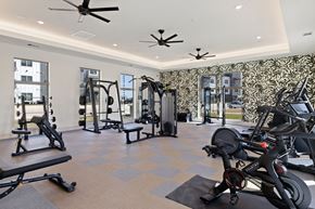 Creedmoor apartment for rent - A spacious gym with a variety of equipment including treadmills, weights, and exercise bikes at Enclave Creedmoor Apartments, Creedmoor