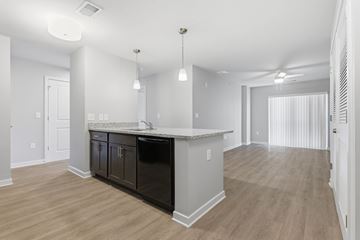 Silver Spring apartment for rent - A kitchen with a black dishwasher and a white countertop.