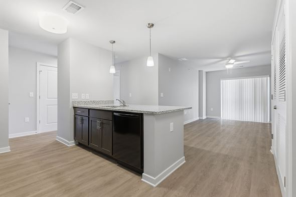 Silver Spring apartment for rent - A kitchen with a black dishwasher and a white countertop.