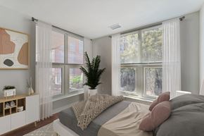 Washington apartment for rent - a bedroom with large windows and a bed and a potted plant