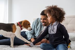 Matherville apartment for rent - a father and child playing with a dog on a bed