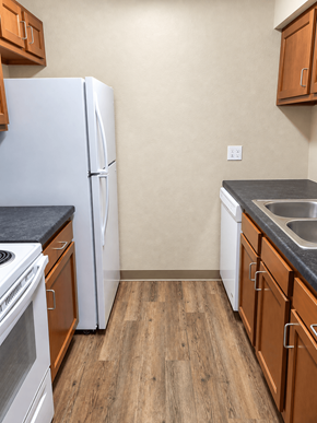 Traverse City apartment for rent - A kitchen with a white fridge, wooden cabinets and a black counter top.