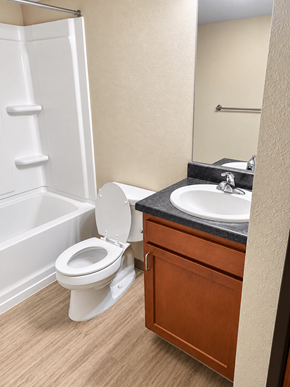 Traverse City apartment for rent - A white toilet sits next to a sink in a bathroom.