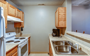 Upper Sandusky apartment for rent - an empty kitchen with a stove sink and refrigerator